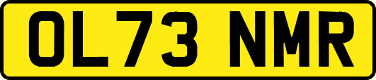 OL73NMR