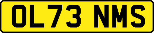 OL73NMS