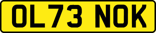 OL73NOK