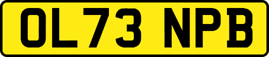 OL73NPB