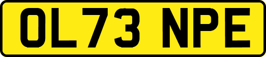 OL73NPE