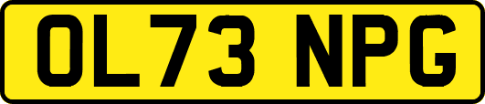 OL73NPG