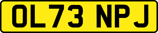 OL73NPJ