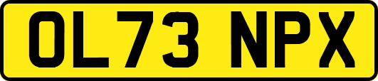 OL73NPX