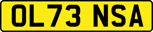 OL73NSA