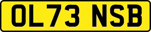 OL73NSB