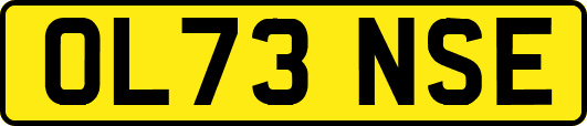 OL73NSE