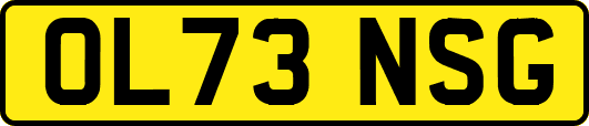 OL73NSG