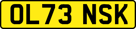 OL73NSK