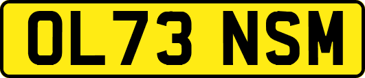 OL73NSM