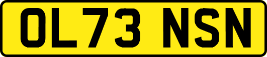 OL73NSN