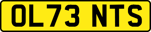 OL73NTS