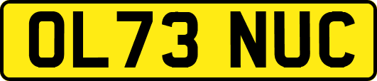 OL73NUC