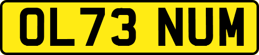OL73NUM