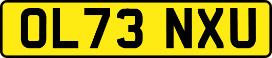 OL73NXU