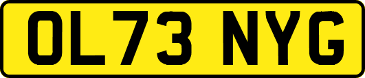 OL73NYG