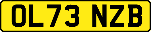 OL73NZB