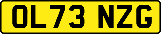 OL73NZG