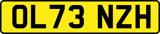 OL73NZH