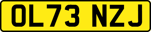 OL73NZJ