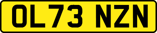 OL73NZN