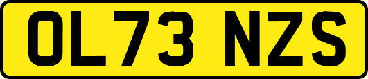 OL73NZS