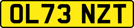OL73NZT