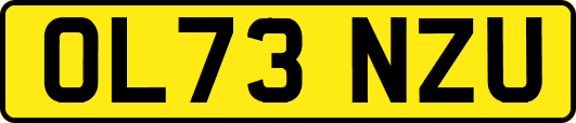 OL73NZU