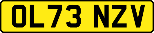 OL73NZV