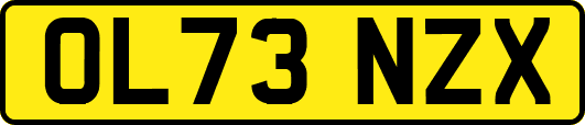 OL73NZX