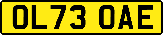 OL73OAE