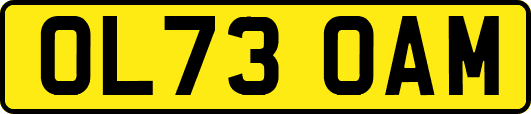 OL73OAM