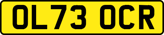 OL73OCR