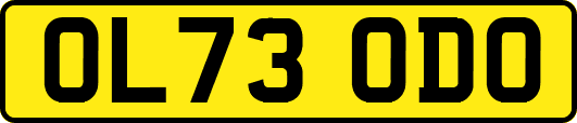 OL73ODO