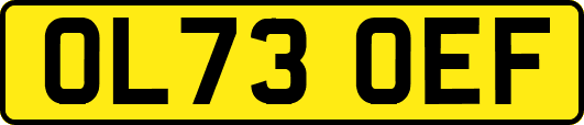 OL73OEF