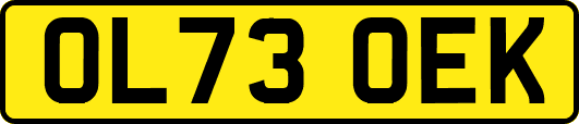 OL73OEK