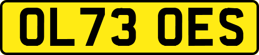 OL73OES