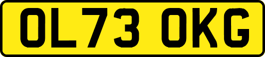 OL73OKG