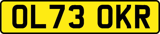 OL73OKR