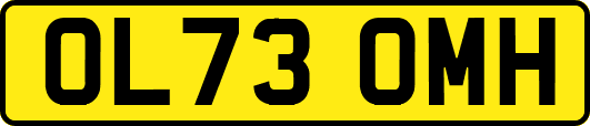 OL73OMH