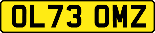 OL73OMZ