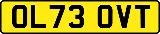 OL73OVT