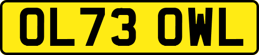 OL73OWL