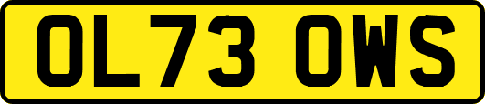 OL73OWS