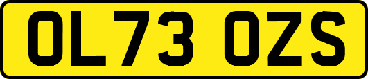 OL73OZS