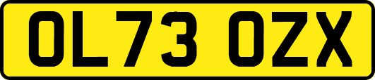 OL73OZX