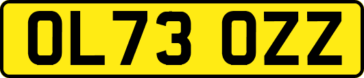 OL73OZZ