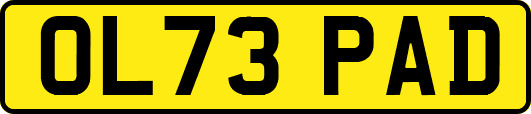 OL73PAD