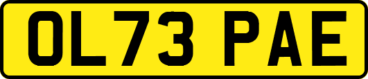 OL73PAE