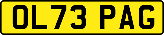 OL73PAG